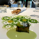 Illustration for article titled Foodporn - Osteria Fancescana Edition